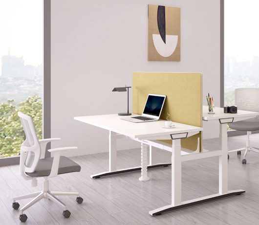 Electirc Standing Desk