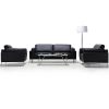 Leather Sofa Set