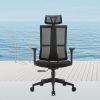 Fashion Mesh Office Chair