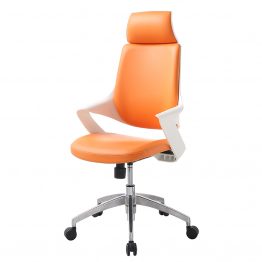 Leather Desk Chair