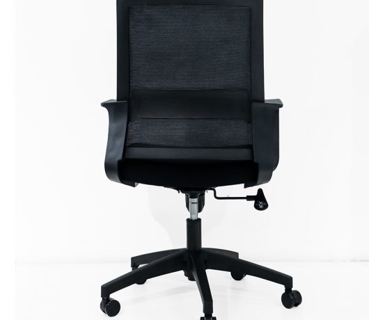 All Mesh Task Chair