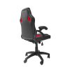 Modern Ergonomic Gaming Chair
