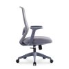 Modern Staff Office Chair