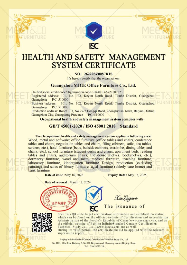 ISO45001 EN