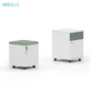 Yunsen Series A 2-Drawer File Cabinet