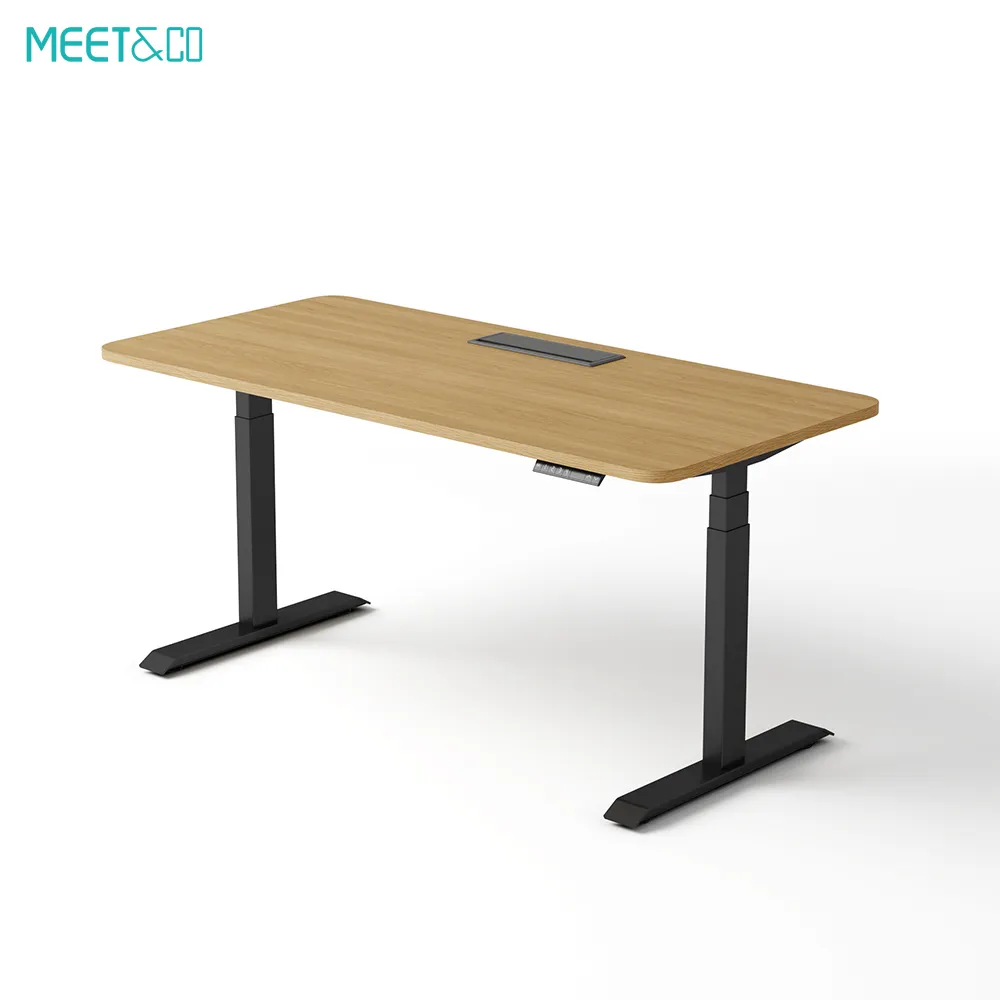 Sendi Series E Standing Desk