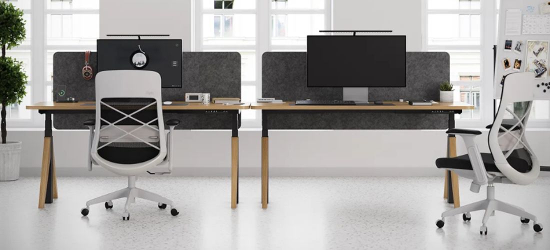 standing desks and ergonomic office chairs