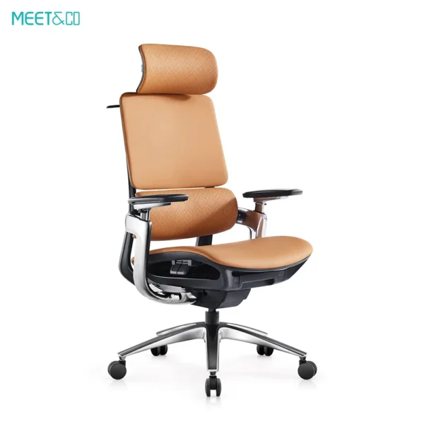 Ergonomic mesh office chair with adjustable features
