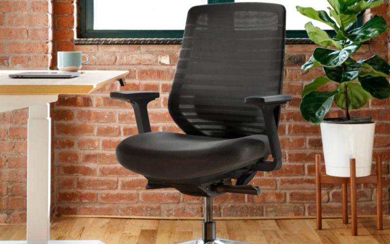 Branch ergonomic office chair with mesh back