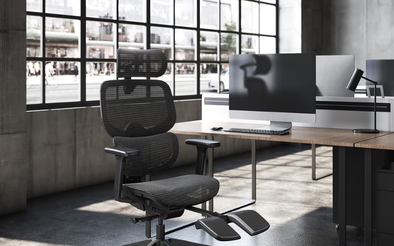 Premium Ergonomic Office Chair 